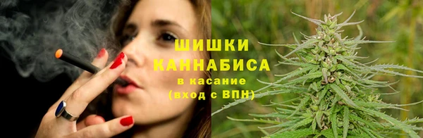 ГАЛЛЮЦИНОГЕННЫЕ ГРИБЫ Касимов