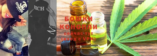 индика Армянск