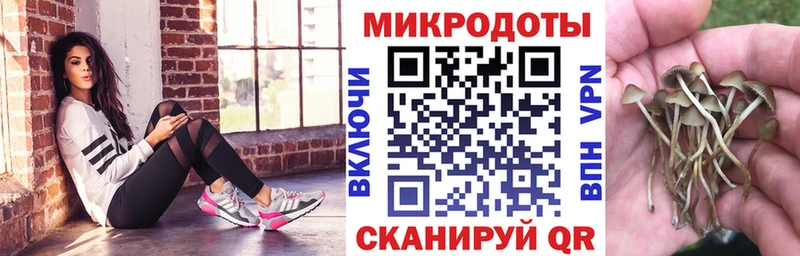 где найти   Салават  кракен рабочий сайт  Псилоцибиновые грибы Magic Shrooms 
